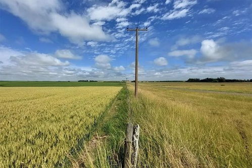 阿根廷畜牧漁業(yè)飼料銷售迎來中國合作伙伴，數(shù)十年來首次重大突破